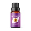 Aroma Energy | Lavender Essential Oil, 10ml - 100% Pure