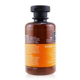 Apivita Shine & Revitalizing Shampoo with Honey and Orange 250 ml