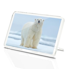 Classic Rectangle Magnet with Stand - Polar Bear on Snow Norway - Fridge Locker Office Whiteboard Toolbox #63234