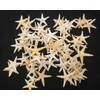 Labriciyon 50 Pcs Natural Starfish Star Seashell Beach Craft, for