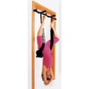 iSwing & Door Gym Combo by Gravity Plus, Inversion Swing,