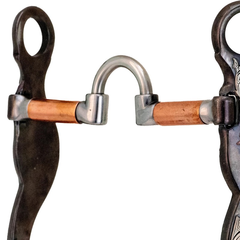 Cowboy Tack Desert Rose Correction Shank Bit