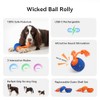 Cheerble Smart Interactive Dog Toy, Wicked Ball Rolly, Automatic Moving,