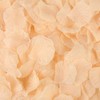 LZXD 1000 Pieces Champagne Artificial Silk Rose Petals Flower Decoration