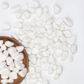 5 lbs White Polished Garden Rocks, 0.5-1 Inch Decorative Stones for Landscaping, Pathways, Yard Borders, Plant Pots, Aquarium Decor, and DIY Craft Projects