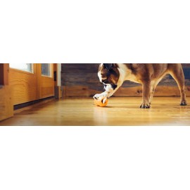 WEST PAW Durable Tangerine Dog Chew Toy Puzzle For Aggressive Chewers Non-toxic Usa Made