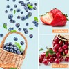 ESSLUX Fragrance Oil, ESSLUX Rose and Fruits Collections Scented Oils,