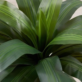 VeriNatural 4/5/6FT Artificial Dracaena Tree UV Resistant for Indoor & Outdoor（VN123） - Size: 5FT