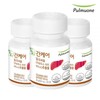 Pulmuone Liver Care 650mgX60tabletsX3 / 풀무원 간케어 650mgX60정X3개