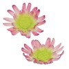 PME Stainless Steel Daisy 8 Petal Cutters, Medium Size, Set