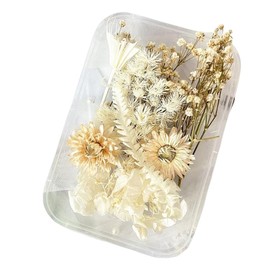 GXGM Fiori Secchi Decorativi,Fiori Secchi per Resina,Naturali e Pressati per Artigianato,Resina,Scrapbooking,Creazione di Gioielli e Decorazioni Floreali Fai da te