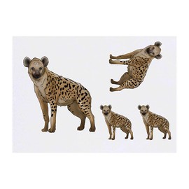 4 x 'Hyena' Temporary Tattoos - Water Resistant, Skin-Safe, Non-Toxic Transfers, Mixed Sizes (TO00042293)