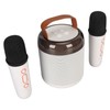 Wireless Karaoke Speakers RGB Light Bluetooth5.3 Speaker with 2 Wireless