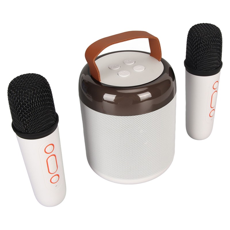 Wireless Karaoke Speakers RGB Light Bluetooth5.3 Speaker with 2 Wireless