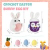 AIDINGO DIY Crochet Easter Bunny Egg Crochet Starter Kit for