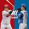 Tabio Baseball Five Finger Long Socks, 9.8 - 10.6 inches