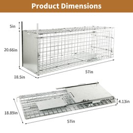 57” Collapsible Large Live Animal Trap, Easy to Set and Release Live Animal Traps for Dogs, Foxes, Coyotes, Bobcats and Other similarly Sized Animals up to 55 lbs