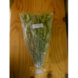 Greek Infusion Herbs the Mountain Tea (Sideritis Syriaca)65g 2.29oz