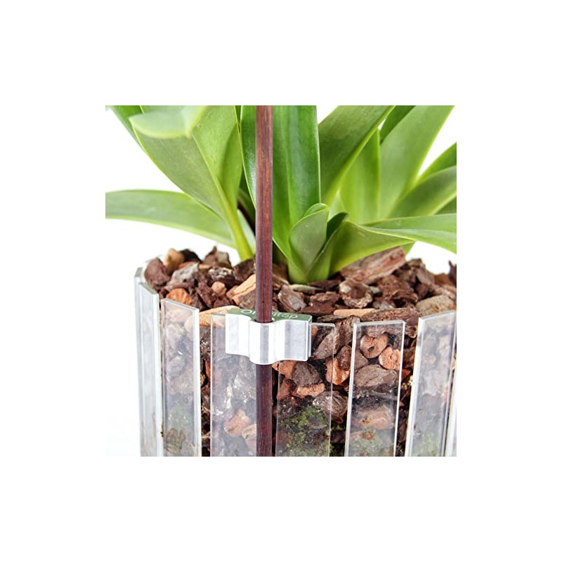 Orchitop Flower stem holder Scoop M