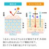 Plus Kirei Ceramide Emulsion High Concentration 16% Nano Emulsion Technology,