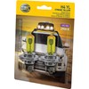 Hella H4 YL Bulb 12V 60/55W P43T T4.625 Yellow 2Blis
