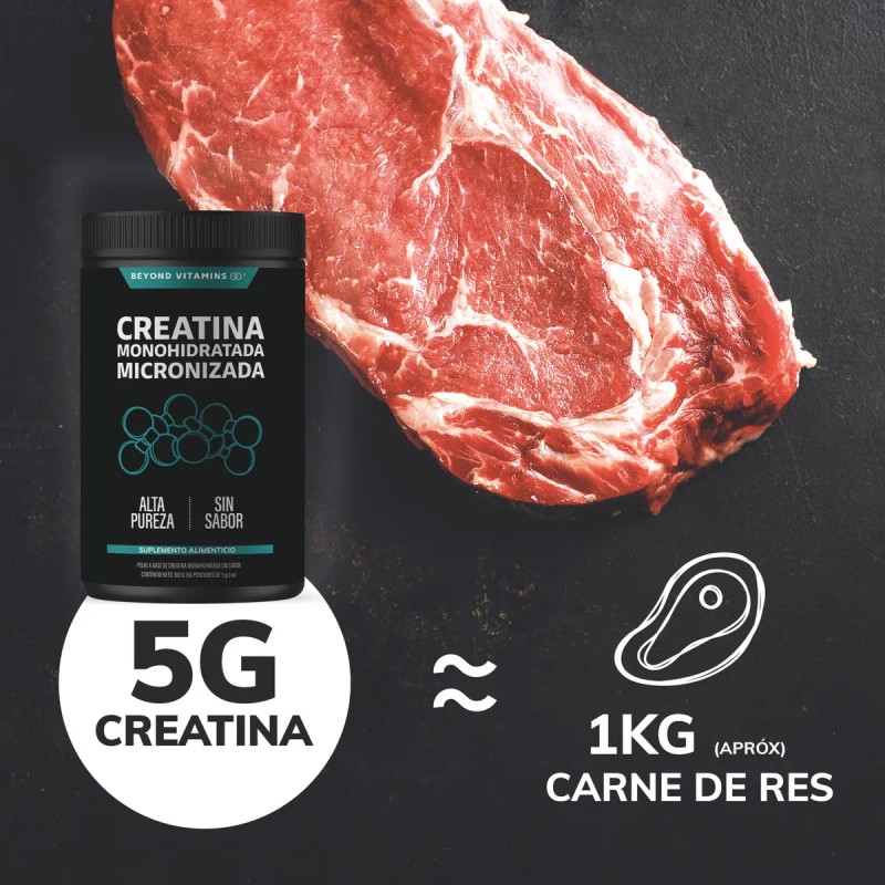 Creatina Monohidratada Micronizada Polvo Pre Workout 100 Alta Pureza Certificada