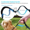 Uppetly Hands Free Dog Running Leash with Zipper Pouch, Dual