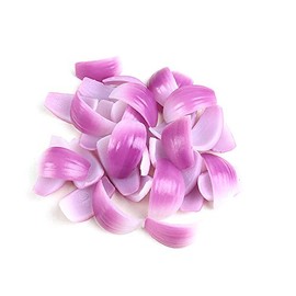 Kmiunty 20Pcs Artificial Vegetable Lifelike Onion Slice Fake Vegetable Model Photography Prop for Home Kitchen Party Decoration