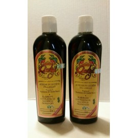 NG 2X Shampoo Quetzal Helps in the regrowth of hair, Auxiliar en la caida d cabello