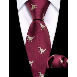 Barry,Wang Design Wine Red Dinosaur Boy's Tie Silk Woven Handkerchief Necktie Set Ceremony
