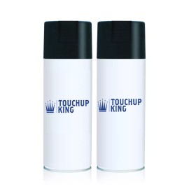 Sherwin Williams RUGGLES SIGN 661 VITAMIN WORLD BLUE Aerosol Kit with Paint and Clearcoat