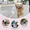 BONTHEE Dog Muzzle,Anti-Bite Adjustable Breathable Soft Muzzle for Small Medium