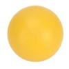 Dog Bouncing Ball Solid High Elasticity Toxic Free Floating Rubber