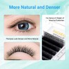 NAGARAKU 5D W Eyelash Extensions, 2.0 Version, Camellia Eyelash Extension,