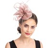 AiduduPet 50S Fascinator Hat for Women,Kentucky Derby Fascinators Funeral Veil