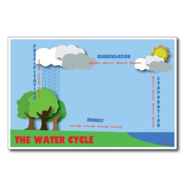 The Water Cycle - NEW Classroom Science Poster