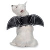Zack & Zoey Glow-in-The-Dark Bat Wings Harness for Dogs, X-Large