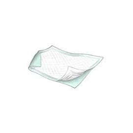 Durasorb Disposable Underpads - 23" x 24" - Case of 200