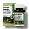 Antibacterial Antioxidant Immunity Propolis Flavonoid Free radicals Cell protection Autoimmune