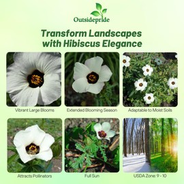 Outsidepride Trionum Hibiscus Seeds - 250 Pcs Perennial Flower Seeds for Planting Pollinator-Friendly, Large & Elegant Blooms with Dense Green Foliage for Containers, Pots, & Garden Spaces