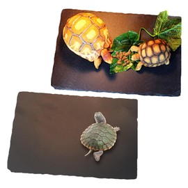 Tfwadmx 2Pcs Reptile Basking Platform Large Tortoise Feeding Bathing Area Turtle Original Rock Plate Grinding Nails Resting Terrace Habitat Decor for Amphibian Reptile Bearded Dragon Chameleon Snake