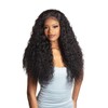 Shake-N-Go Virgin Remy Hair Weave Glossy 3 Bundles Wet N