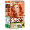 Garnier Nutrisse Nourishing Intensive Tint with Nourishing Fruit Oils, Colouration