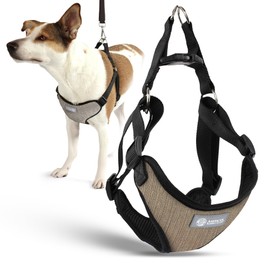 AKC Premium Padded Step-in Dog Harness – Soft Comfort Fit with Dual D-Ring No Pull Control – Small, Medium, Large – Blue, Gray, Green, Tan