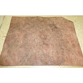 Carpathian Elm Burl Wood Veneer 8" x 10" raw with no Backing 1/42" Thickness AA