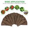 LotaByte 120 Pack Grow Sponges for hydroponics Compatible with AeroGarden,