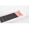 MODO LASH Sable 12 Row False Eyelash Extensions C Curl