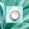 RS Shampoo Coconut Agave 18oz