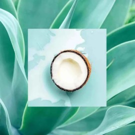 RS Shampoo Coconut Agave 18oz