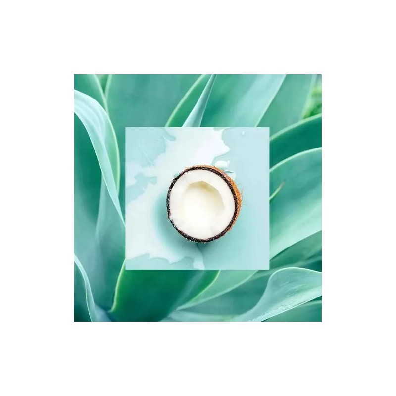 RS Shampoo Coconut Agave 18oz